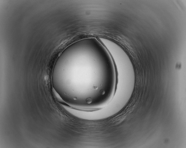X0000097990415200804071157