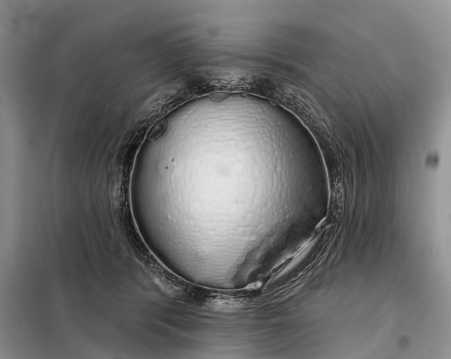 X0000097990416200804071157