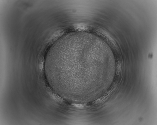 X0000097990417200804071157