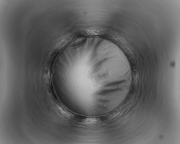 X0000097990418200804071157