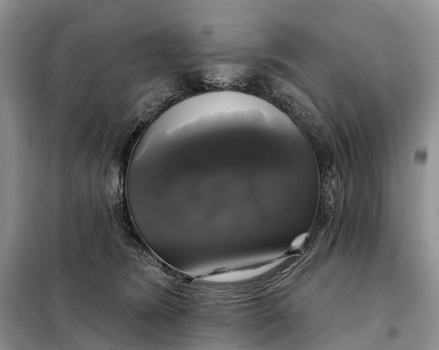 X0000097990420200804071157