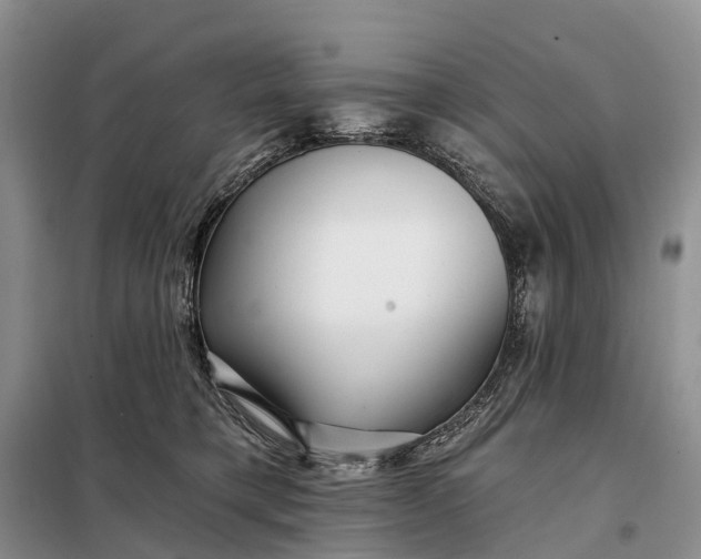 X0000097990421200804071157