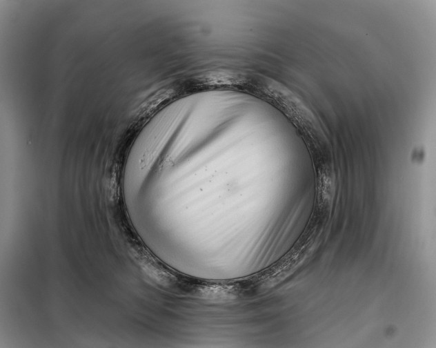 X0000097990422200804071157