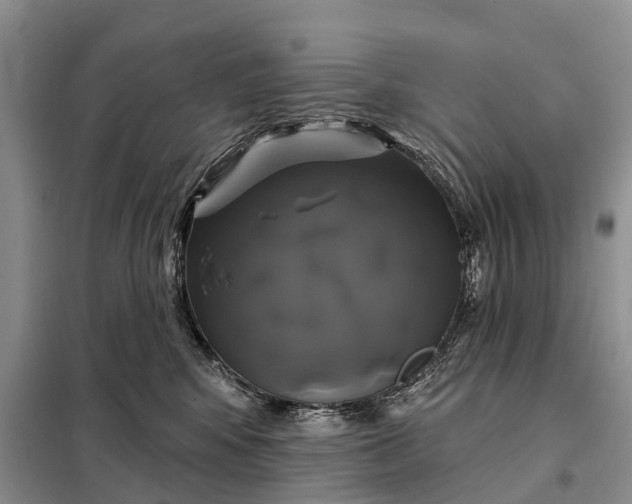 X0000097990424200804071157