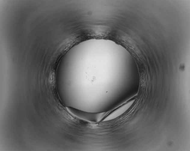 X0000097990425200804071157