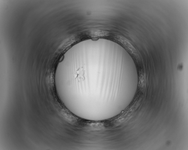 X0000097990426200804071156