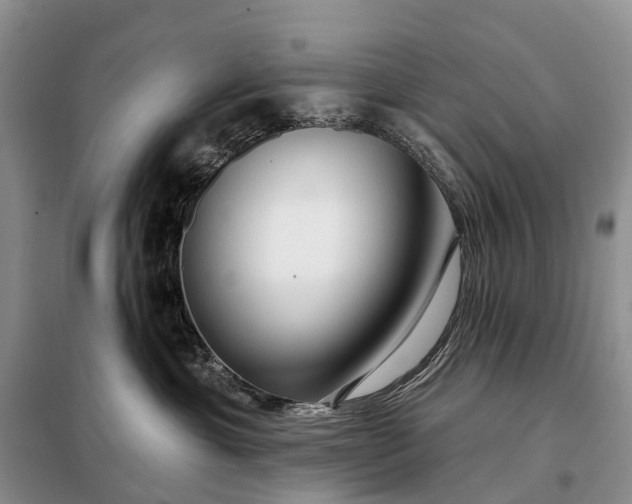 X0000097990429200804071156