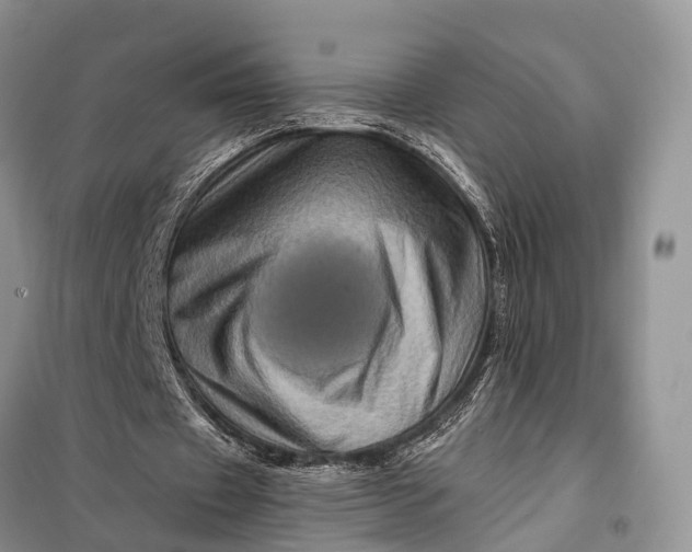 X0000097990433200804071156