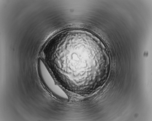 X0000097990434200804071156