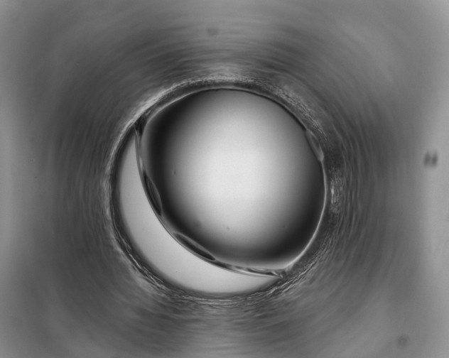 X0000097990436200804071156