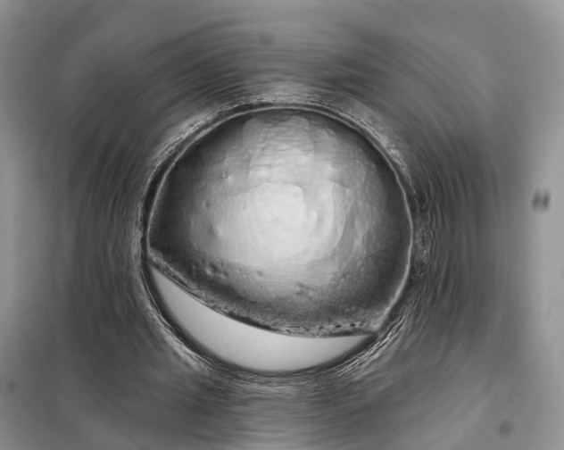 X0000097990437200804071156