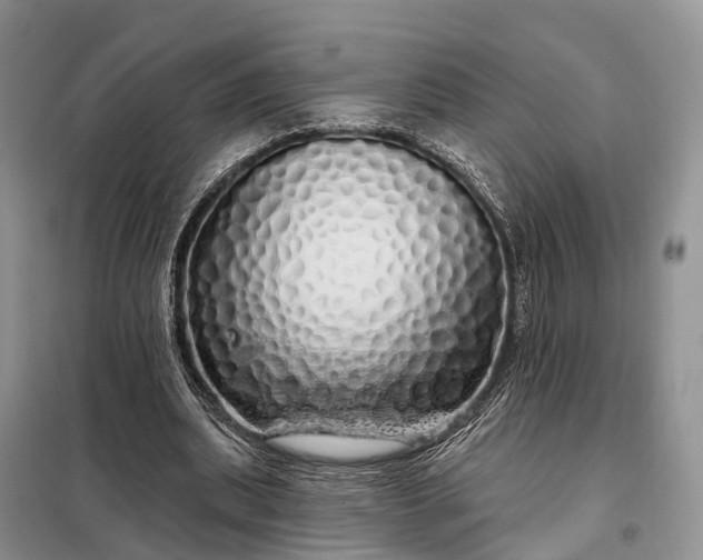 X0000097990439200804071156