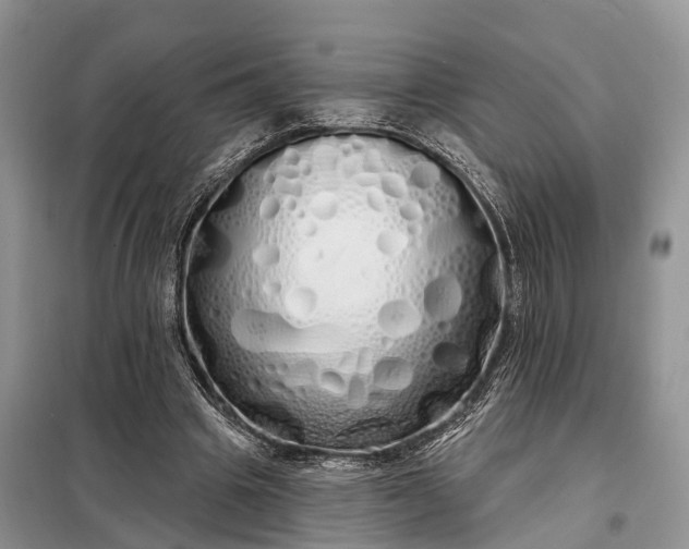 X0000097990441200804071156