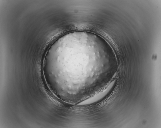 X0000097990442200804071156