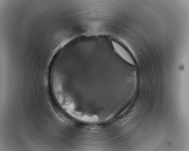 X0000097990443200804071156