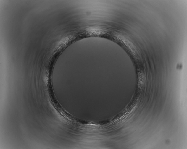 X0000097990451200804071156