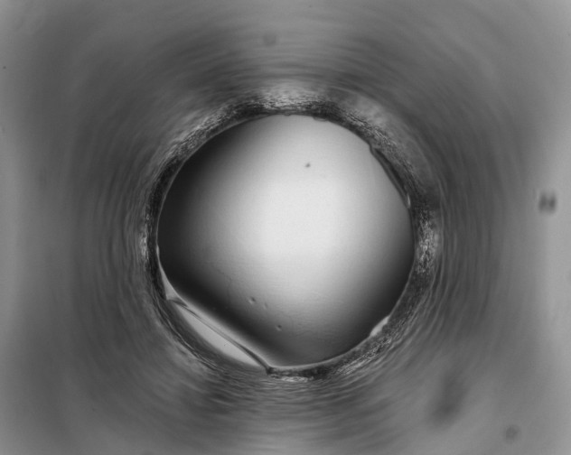 X0000097990452200804071156