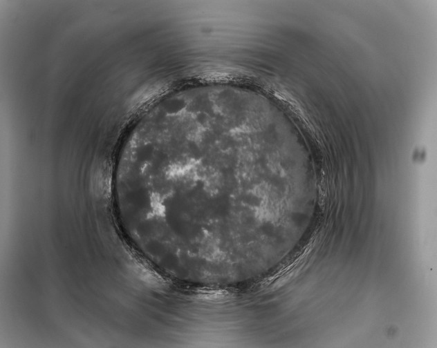 X0000097990454200804071156