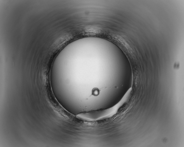 X0000097990455200804071156