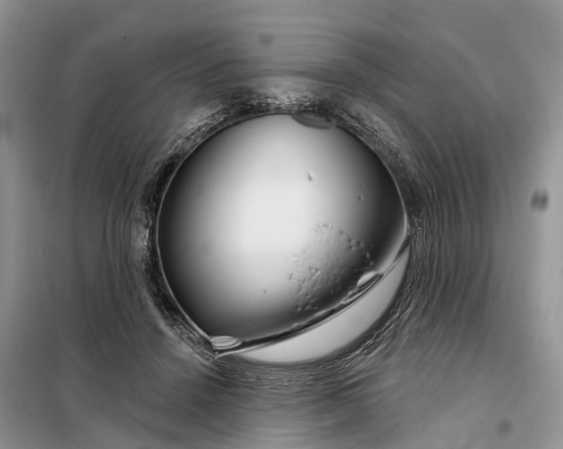 X0000097990456200804071156