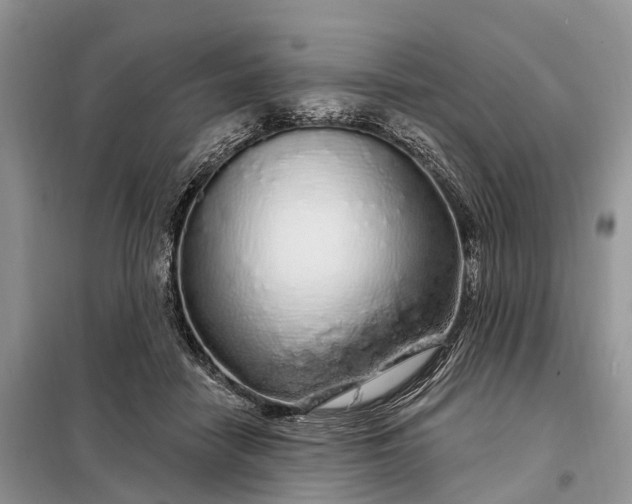 X0000097990458200804071156