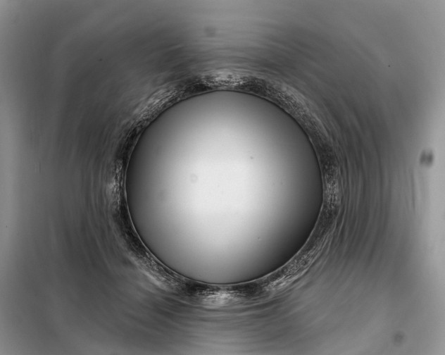 X0000097990460200804071156