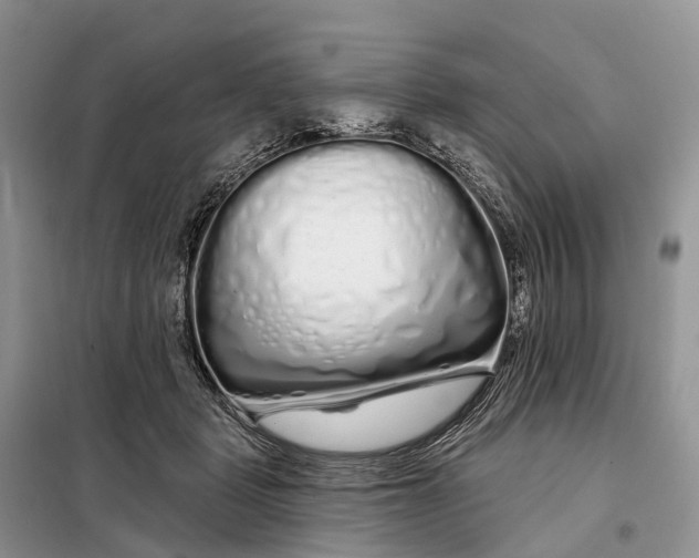 X0000097990461200804071156