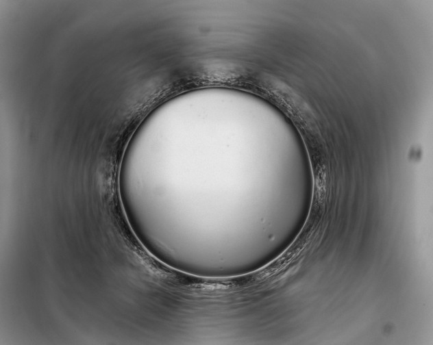 X0000097990462200804071156