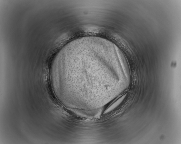 X0000097990463200804071156