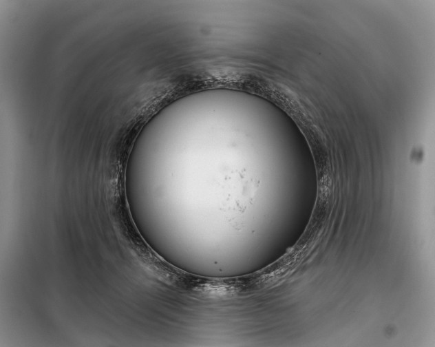 X0000097990464200804071156
