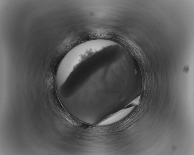X0000097990465200804071156