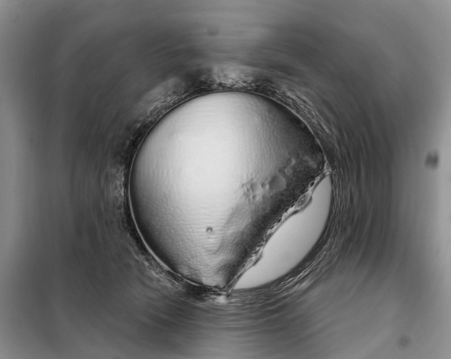 X0000097990466200804071156