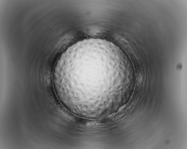 X0000097990470200804071156