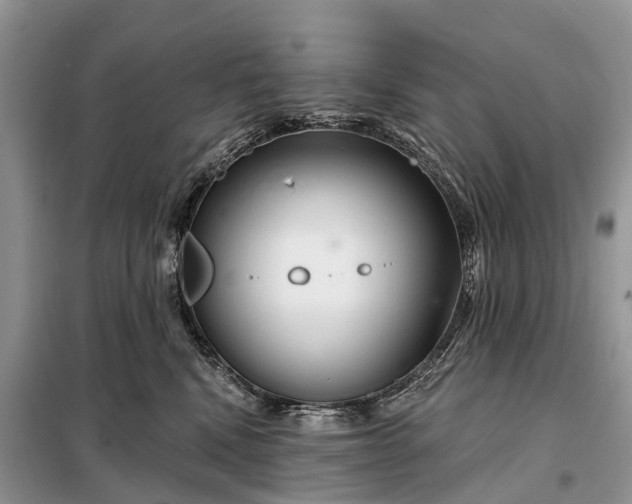 X0000097990472200804071156