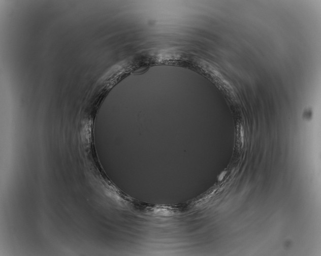 X0000097990475200804071156