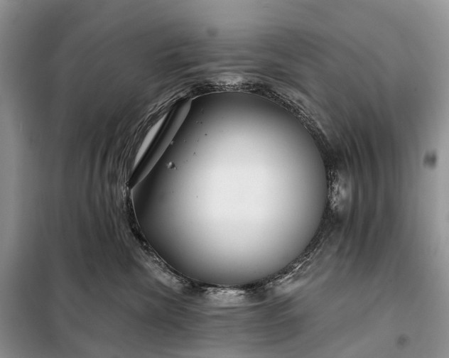 X0000097990476200804071156