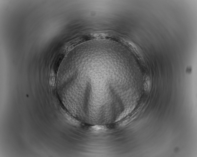 X0000097990477200804071156