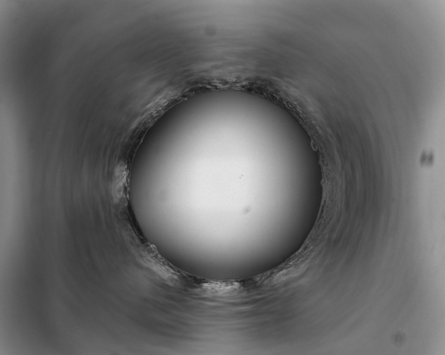 X0000097990480200804071156