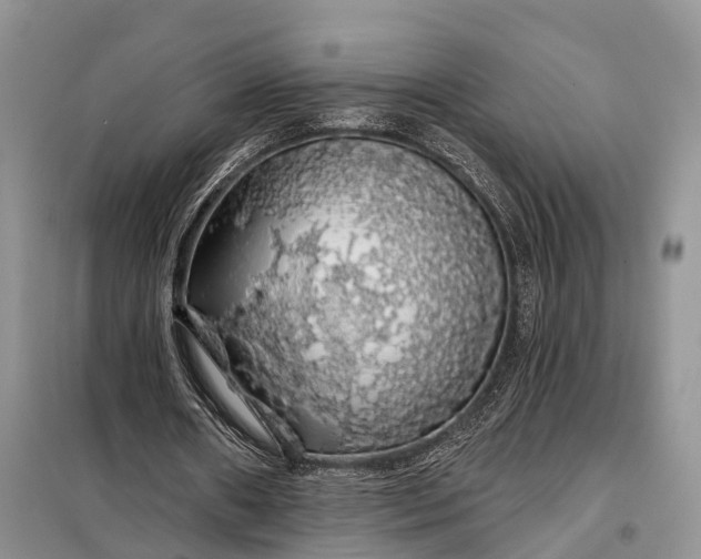 X0000097990482200804071156