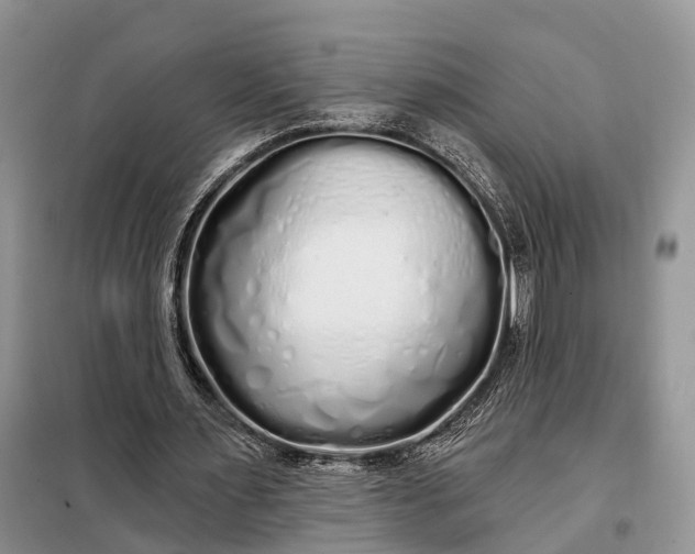 X0000097990483200804071156