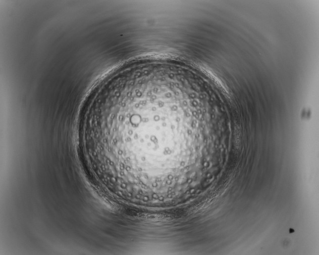 X0000097990486200804071155