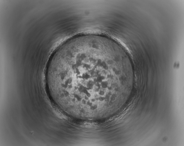 X0000097990487200804071155