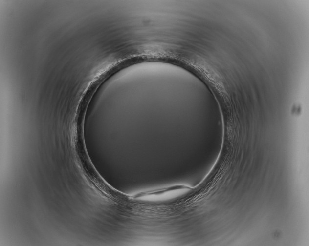 X0000097990488200804071155
