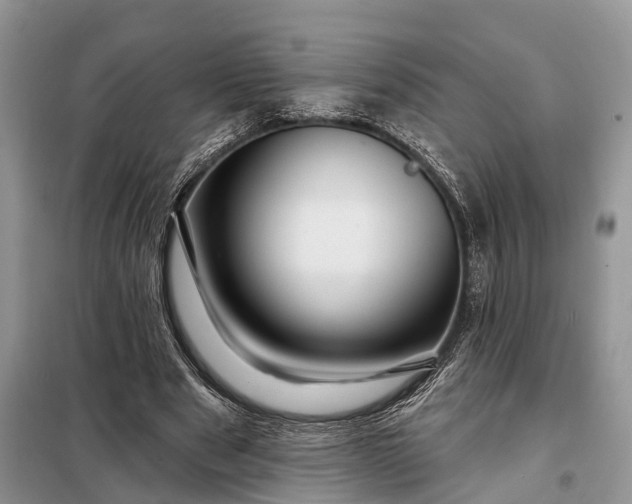 X0000097990489200804071155