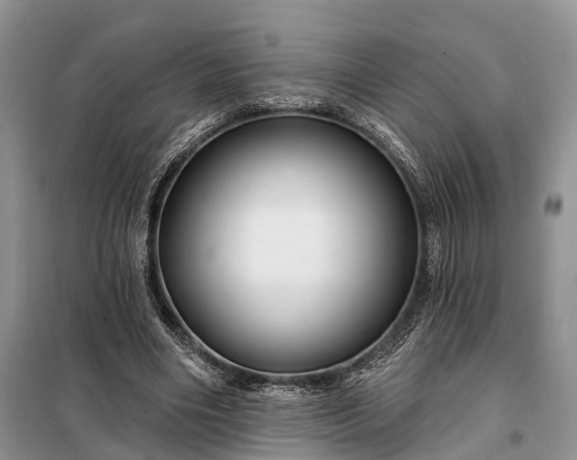 X0000097990490200804071155