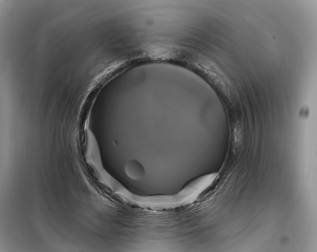 X0000097990492200804071155