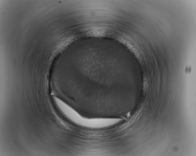 X0000097990493200804071155