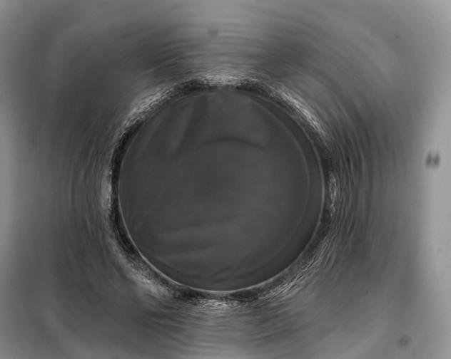 X0000097990494200804071155