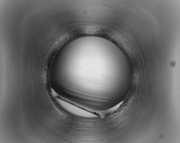 X0000097990497200804071155