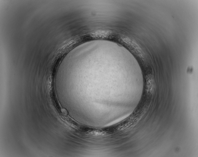 X0000097990498200804071155
